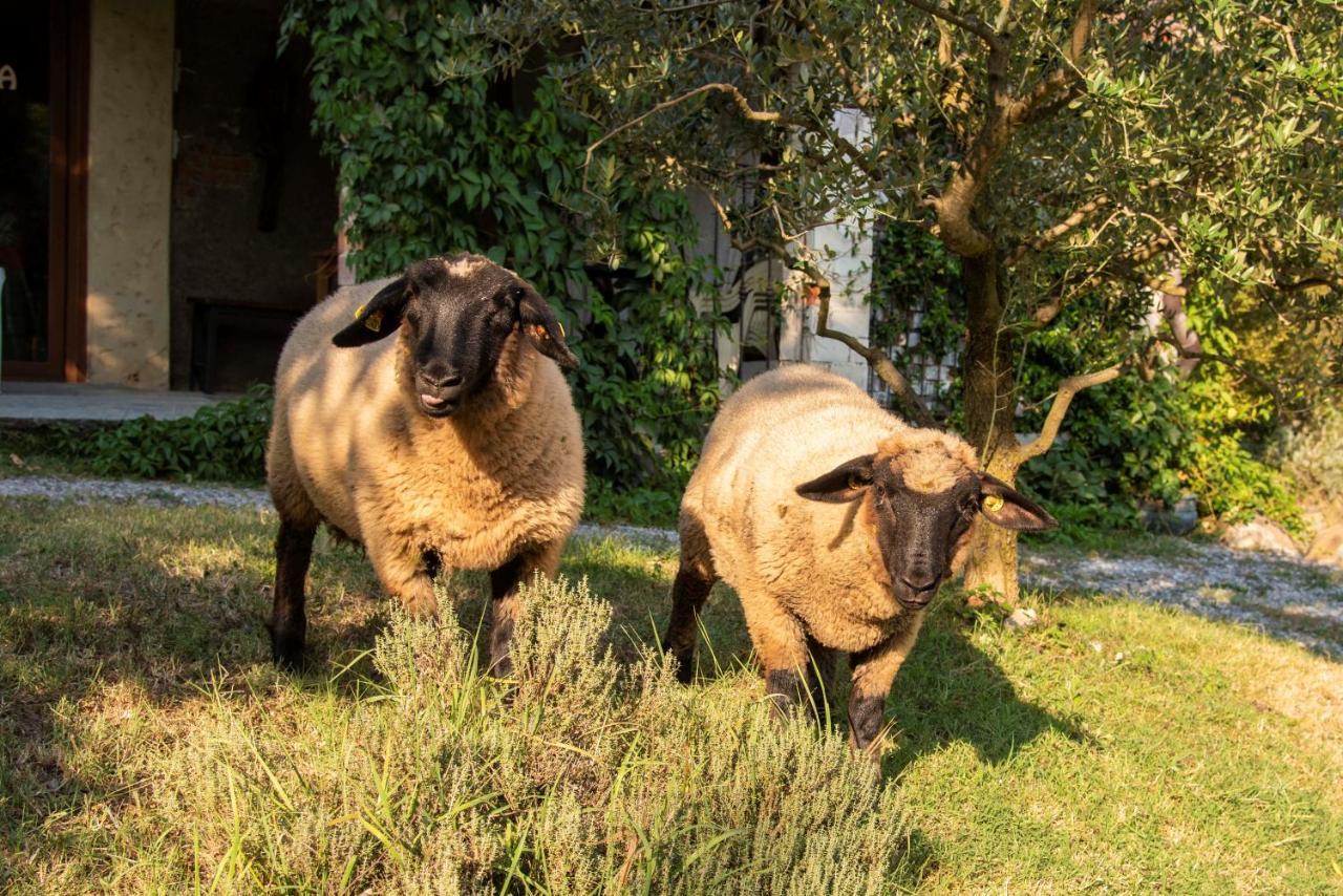 Agriturismo Cascina Costa Cassago Brianza Bagian luar foto
